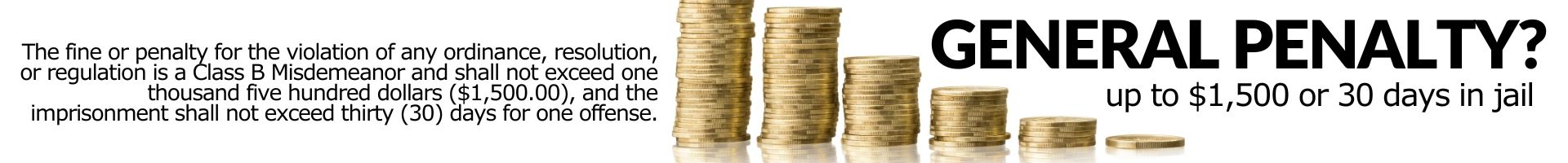 Banner 1000 x 250 (1920 x 200 px)-2