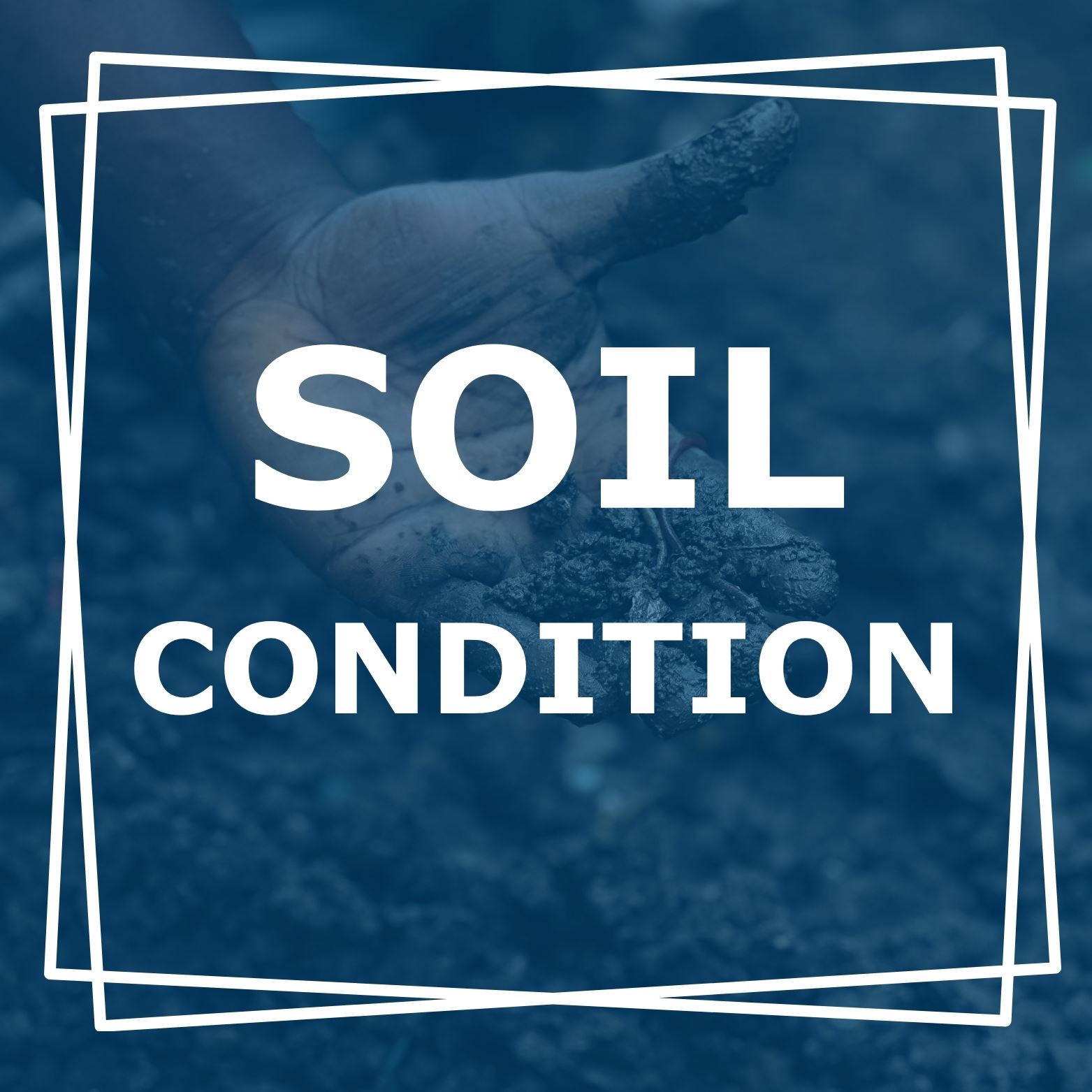 SOIL CONDITIONS