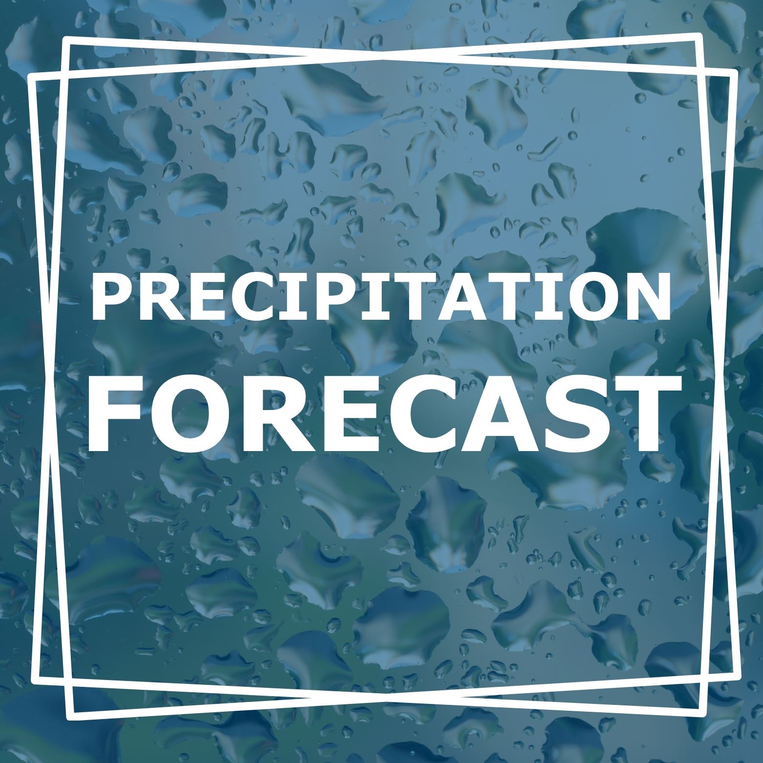 PRECEIPITATION FORECAST